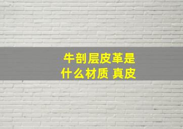 牛剖层皮革是什么材质 真皮